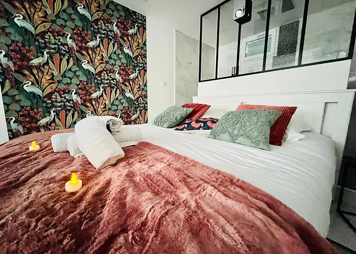 Апартаменты Detente Un Sejour A Part Нанси